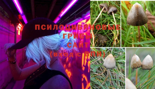 ГАЛЛЮЦИНОГЕННЫЕ ГРИБЫ Армянск