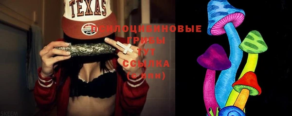прущие грибы Аркадак