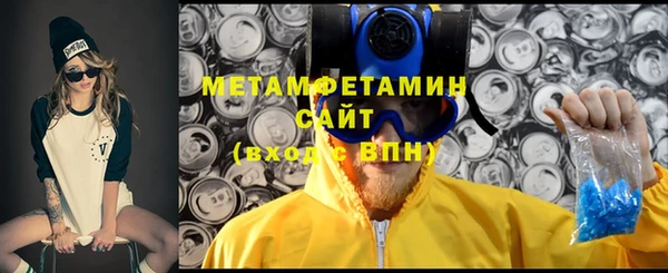 прущие грибы Аркадак