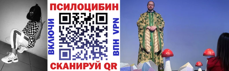 Купить  Верея  Псилоцибиновые грибы GOLDEN TEACHER 